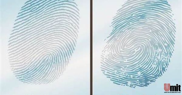 Sinh trắc vân tay cho bé Sinh trắc vân tay là gì?